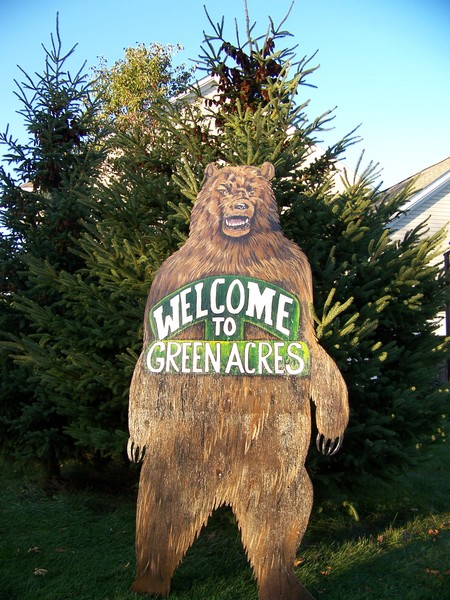 Green acres Bear