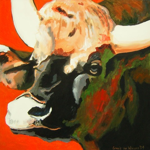 D277 Cow 21 (Gaur)