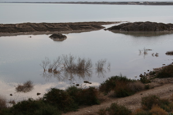 The Dead Sea (4)