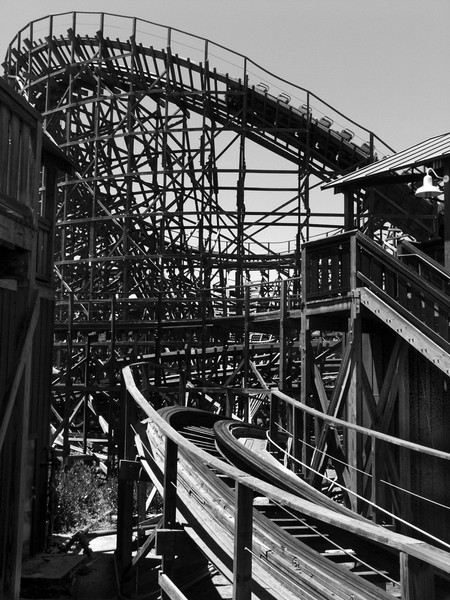 Wood Roller Coaster Grayscale