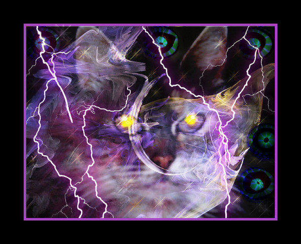 Cosmic Cat