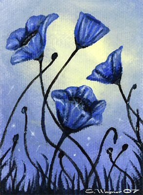 Blue Poppies