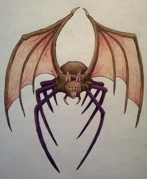 Spider-Bat