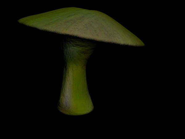 3d Mushroom