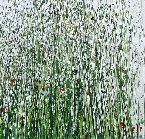 Wild Grasses Northumberland