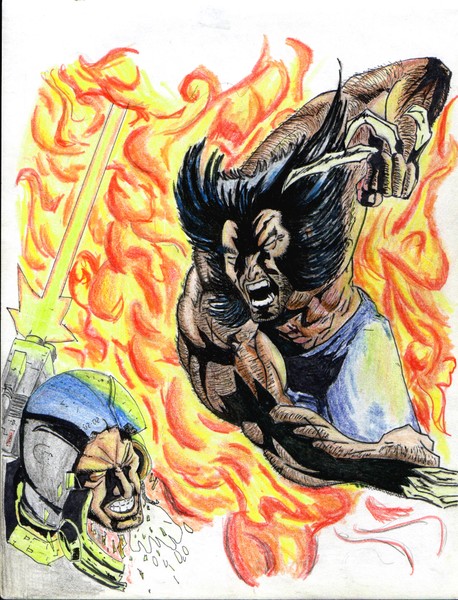 Wolverine's fury