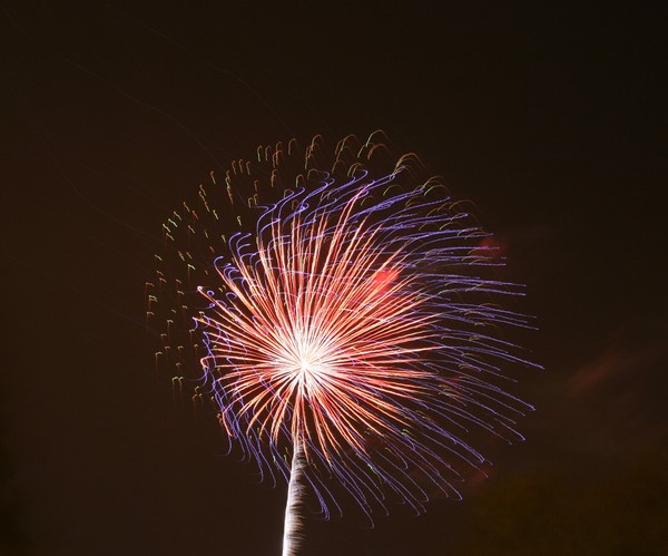 Fireworks_in_Sky_8