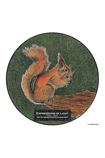 Expolight-Graphic-Arts-Squirrel-0001C