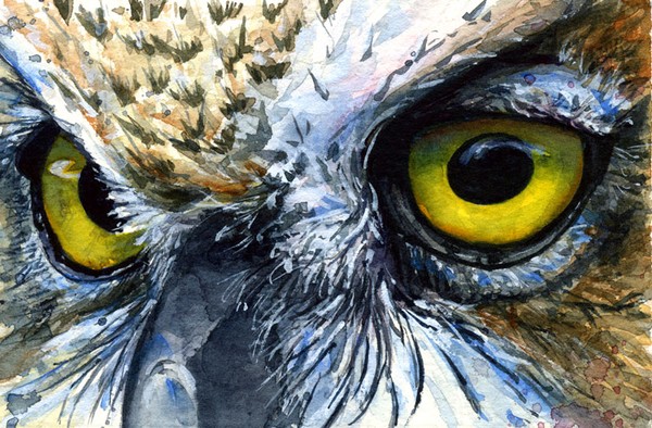 Eyes Of Owl #22 (Original)