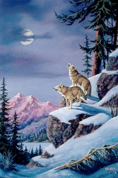 Wolf Watch