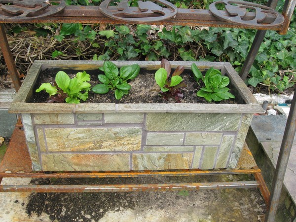 Slate Planter