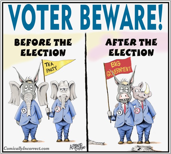 Voter Beware (Cartoon)