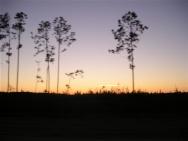 Winter Sunset in Florida