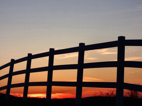Horse farm sunset