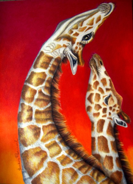 Reticulated Girafee