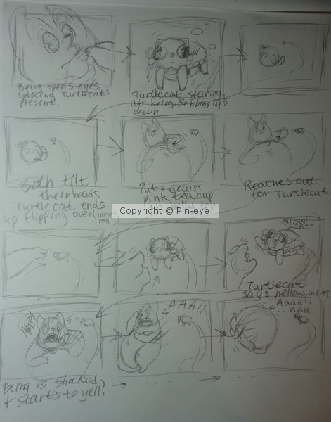 Turtlecat & Mr. Universe Storyboard Pt. 2
