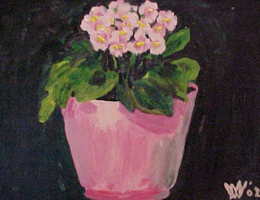 African Violets