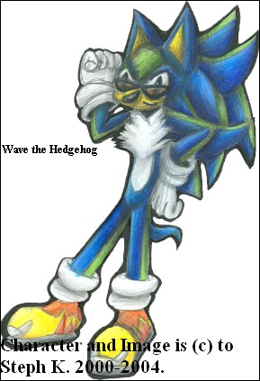 Wave the Hedgehog2