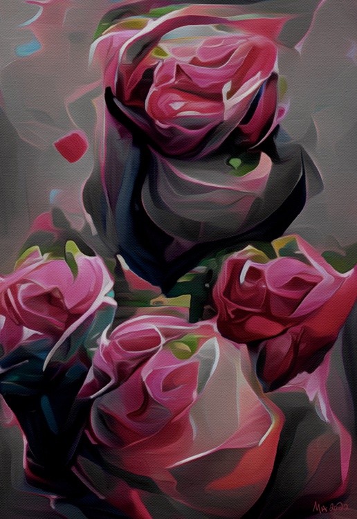Valentine s Day Roses 