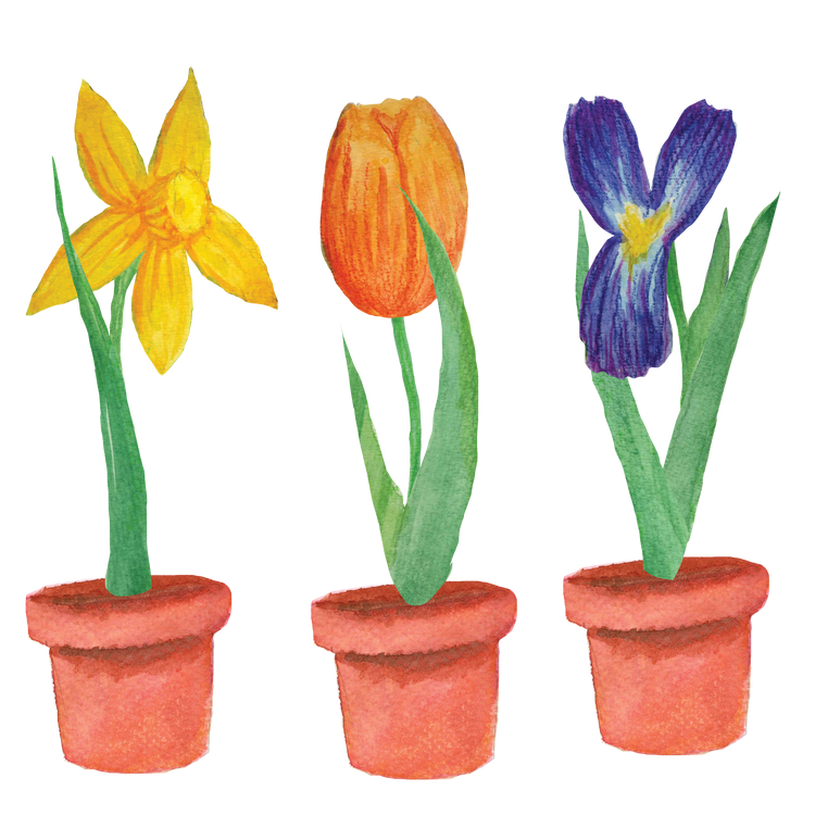 Calong SpringFlowers Stickers
