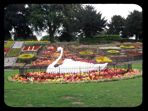 Ornamental Swan