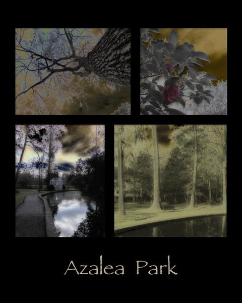 Azalea Park Collage