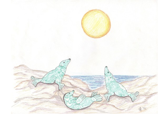 Seals Sunning themselves