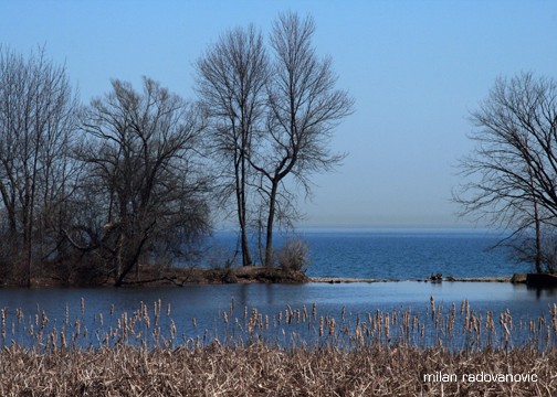 Mattaray Marsh