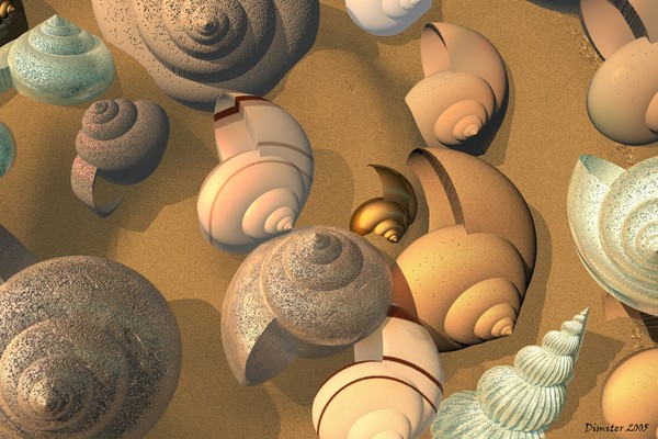 Sea Shells #5