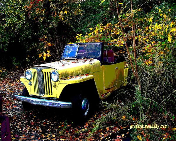 jeepster in woods