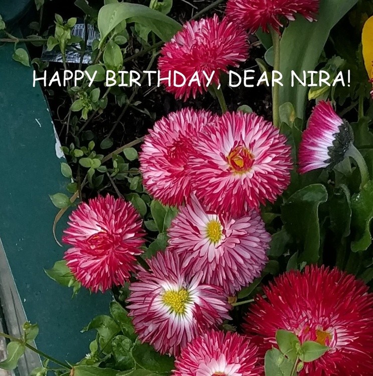 BELATED HAPPY BIRTHDAY, DEAR NIRA!!!