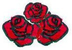 3 red roses