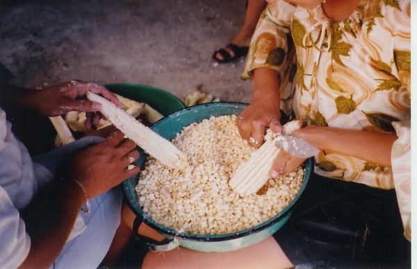 Preparing Maize