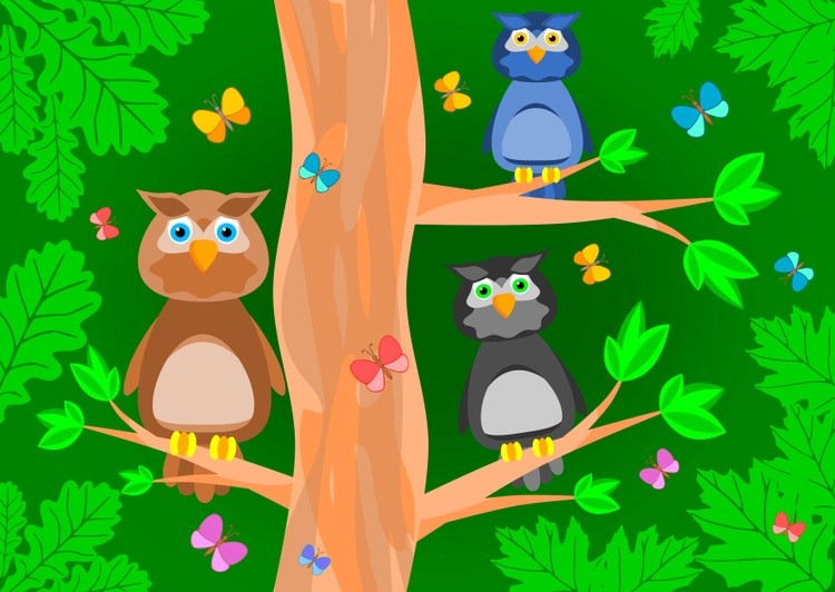 Three brooding owls on a tree in a forest
