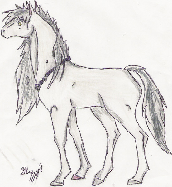 Inuyasha as a horse