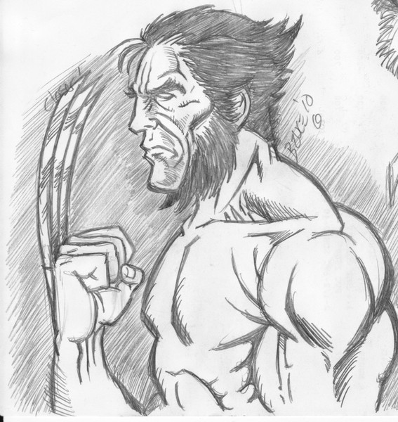 Wolverine sketch