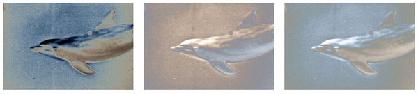 Solarized Dolphin Triptych