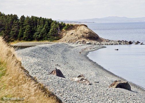 A Cobble Stoned Beach