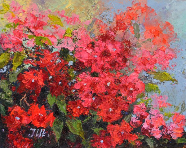 Bougainvillea abstract.