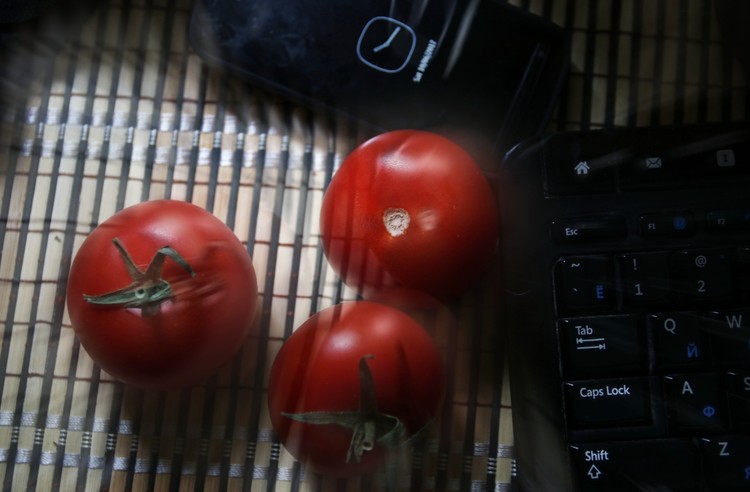 still life with fresh tomatos