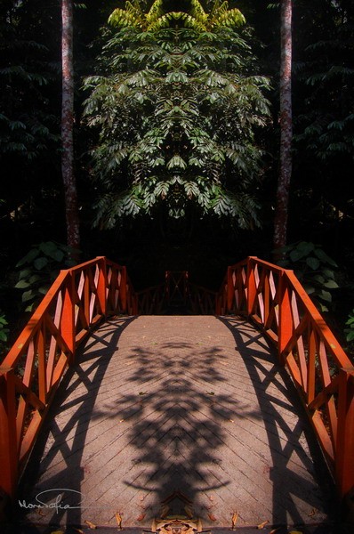 Pathway to Nature II