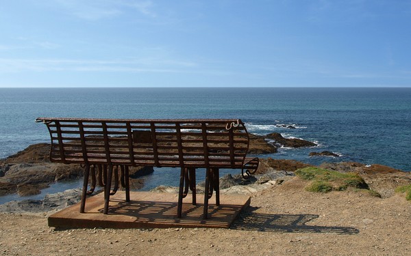 A bench with a view