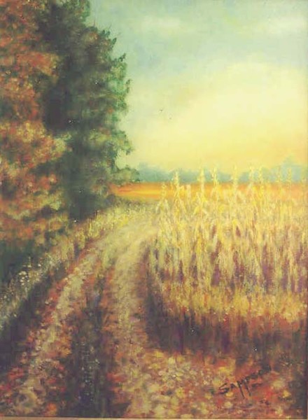 Harvest Corn
