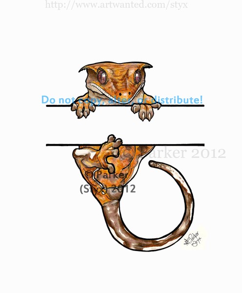 Orange Tiger Crested Gecko - Hanging