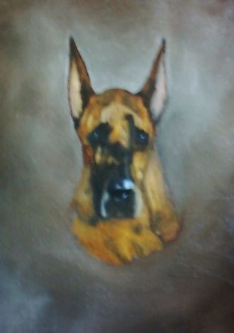 Great Dane head study