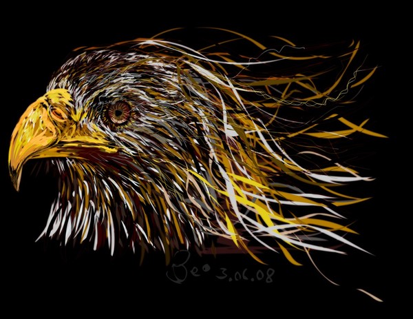 fired eagle portrait