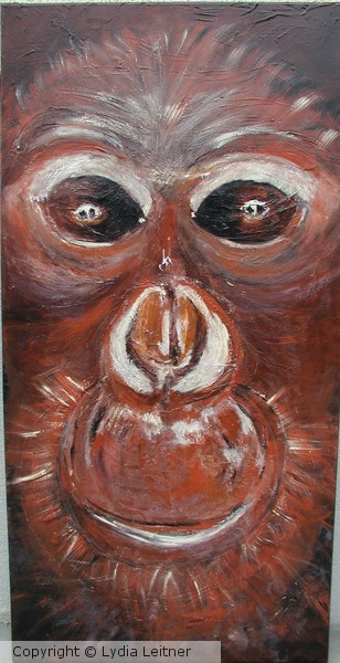 Affe - Monkey (Chimpanzee)
