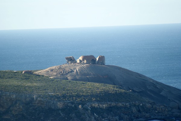 Remarkable Rocks (Kangaroo Island)