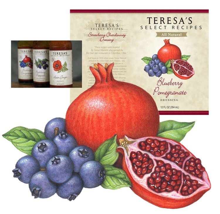 Blueberry and Pomegranate Illustration