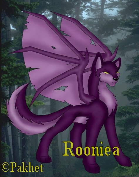 Rooniea Colored!